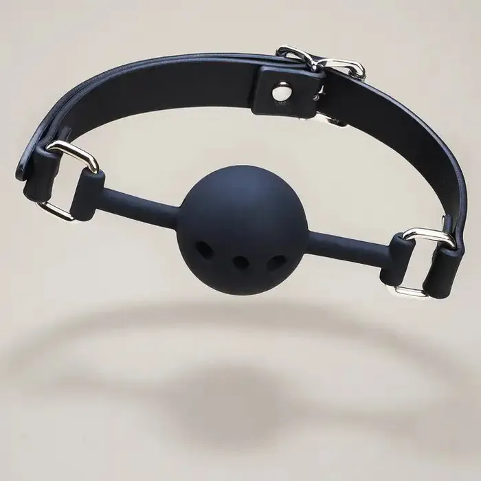 ROOMFUN Couples RoomfunSM Bed Restraints Mouth Ball Gag collar blindfold Handcuff ankle cuff Bondage Kit