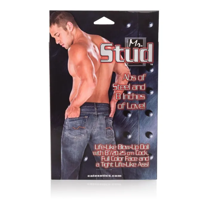 Male Sex Toys CalExotics Mr Stud Love Doll